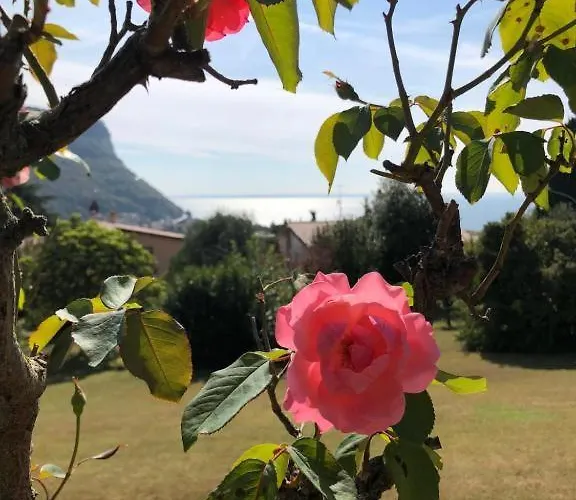 招待所 Welcome Traveller Leda 加尔达