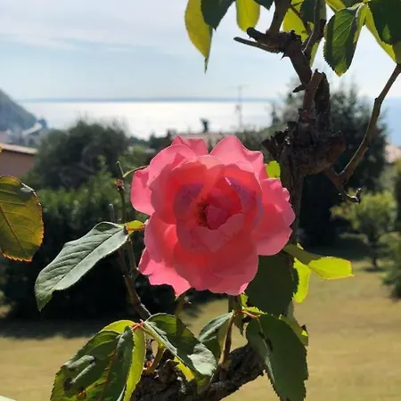 Maison d'hôtes Welcome Traveller Leda Garde