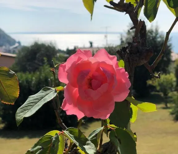 בית הארחה Welcome Traveller Leda גארדה