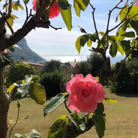 Gæstehus Welcome Traveller Leda Garda (Verona)